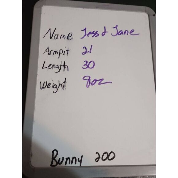 Jess and Jane Shirt Ladies Medium Gray‎ Light Weight Graphic - Picture 6 of 6